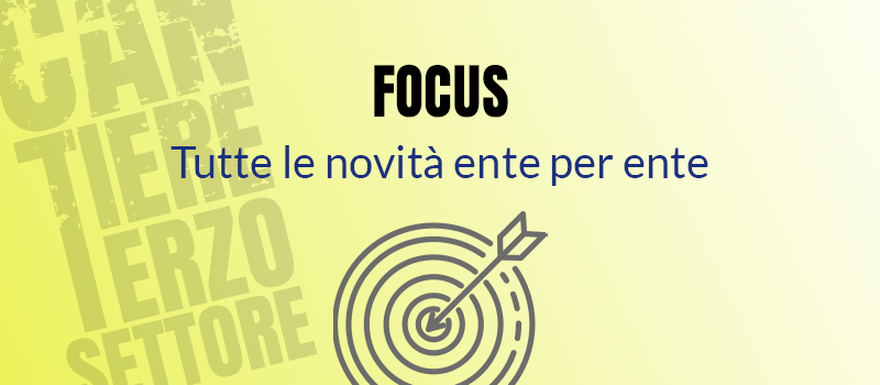 Focus sui singoli enti del terzo settore